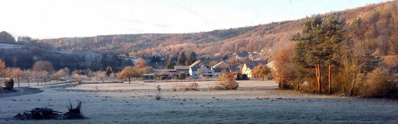 Hotel Landgasthof Zum Hirschen Hafenlohr Zewnętrze zdjęcie